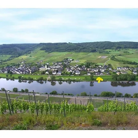 Moselle 1 Lösnich
