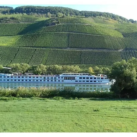 Casa vacanze Moselle 1 Lösnich