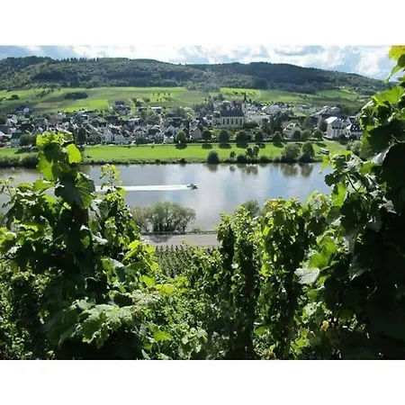 Casa vacanze Moselle 1 Lösnich