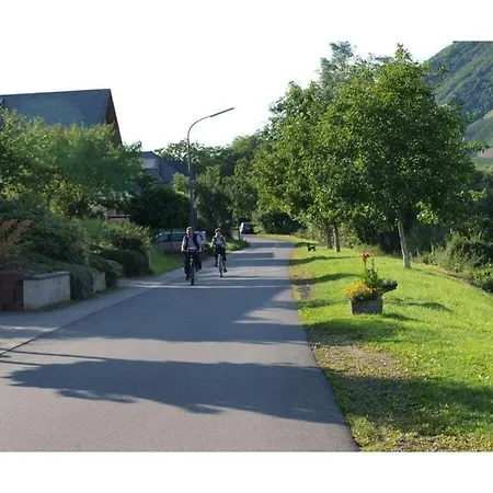 Casa vacanze Moselle 1 Lösnich