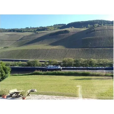 Moselle 1 Nyaraló Lösnich