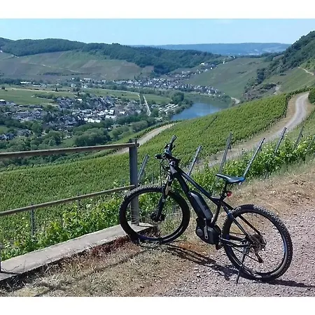 Nyaraló Moselle 1