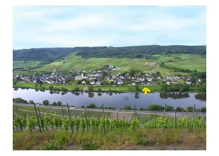 Moselle 1 Lösnich