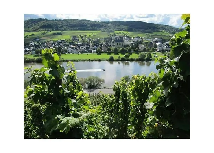 בית נופש Moselle 1 Lösnich