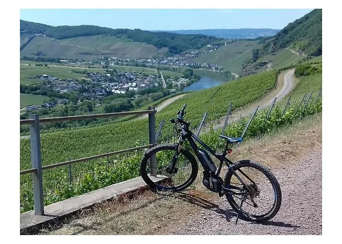 בית נופש Moselle 1